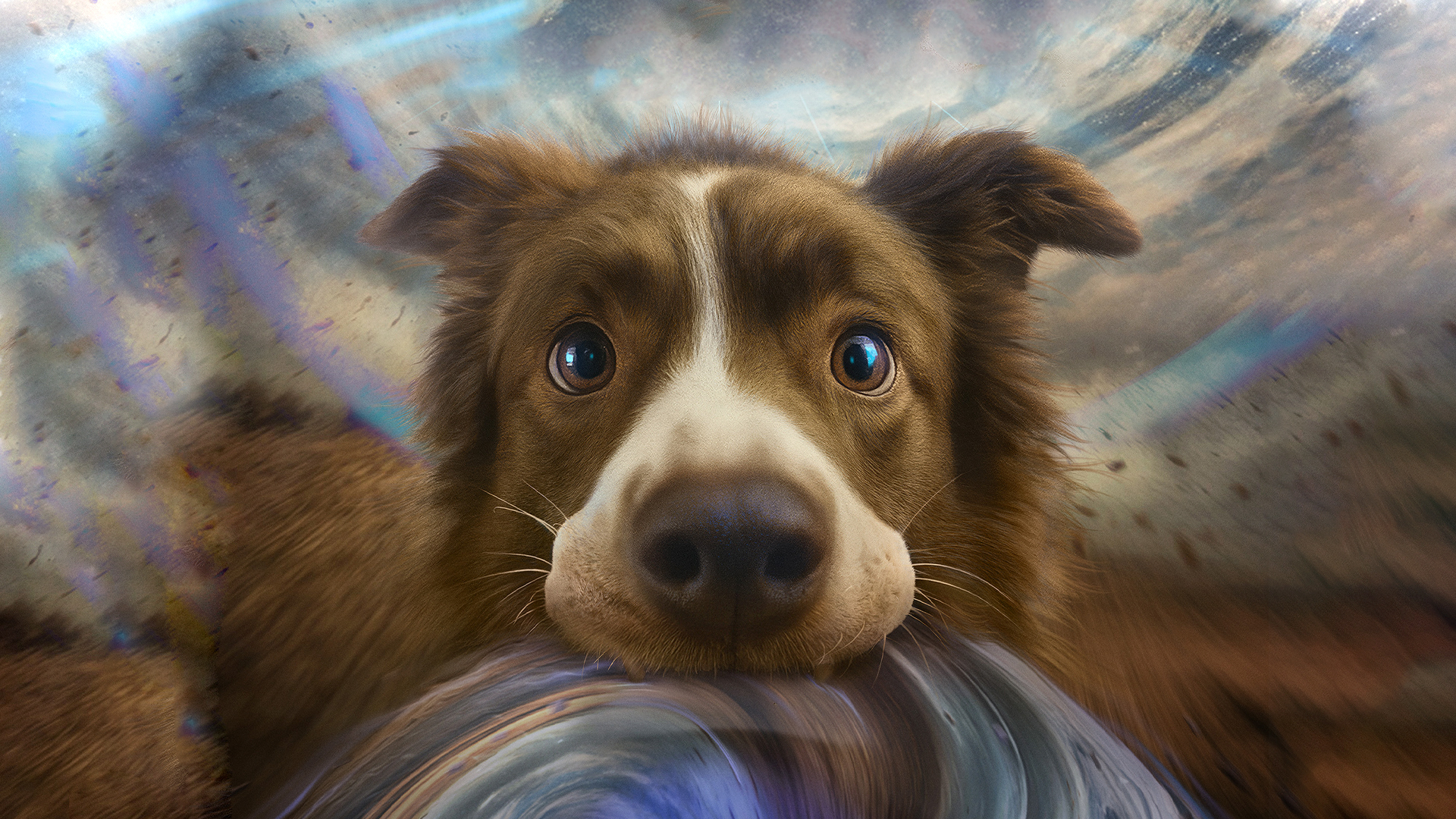 Смотри фильм Космическая собака Лида в кинотеатре